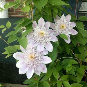 Meet your Posher, Kellye